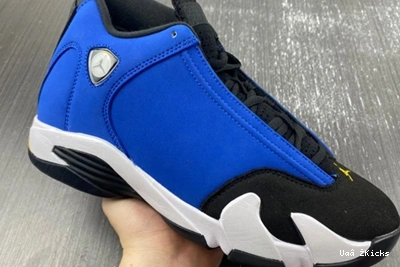 487471-407 14 Laney Retro Sophisticated Jordan  822 0731